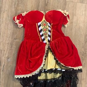 Queen of hearts deluxe velvet dress costume size M